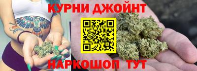 крисы Аргун
