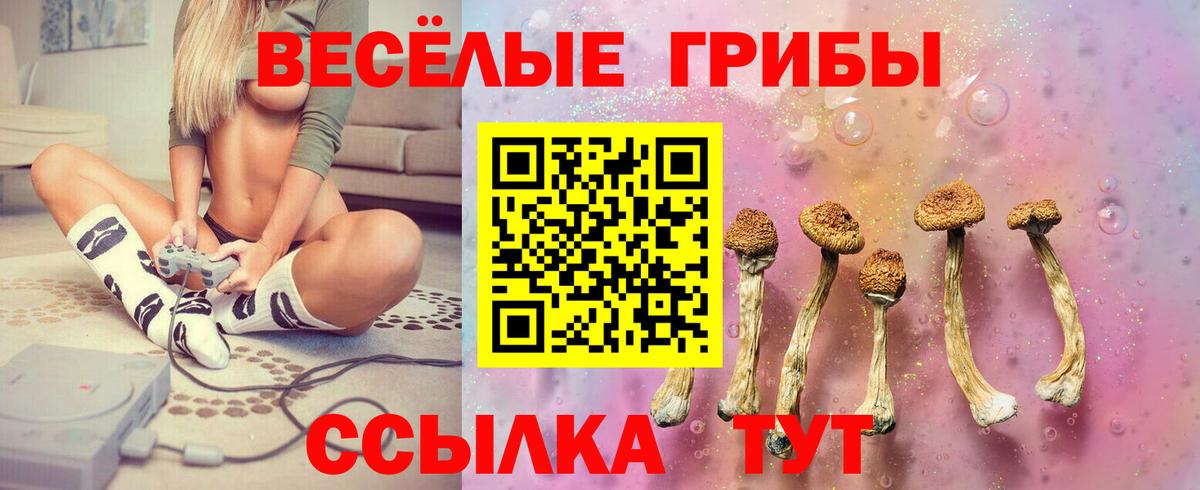 Галлюциногенные грибы мицелий Вятские Поляны